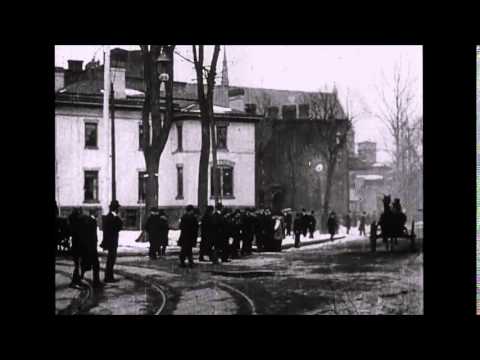 Lanns - The Animal Way (official video)