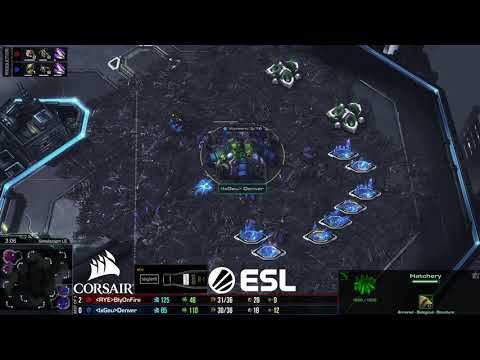 ZvZ Denver vs Bly G3