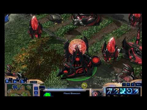 [Starcraft II] - Taldarim Models Test