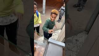 Nào thử cầm đi xem nào