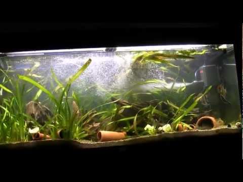 Watch Video on YouTube