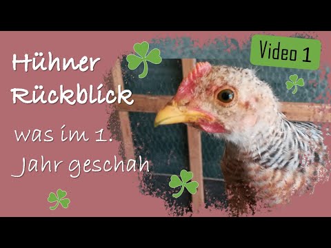 , title : 'Unsere Hühner 🐔 Rückblick 🐤 Was in einem Jahr Hühnerhaltung geschah ☘️ Video 1'