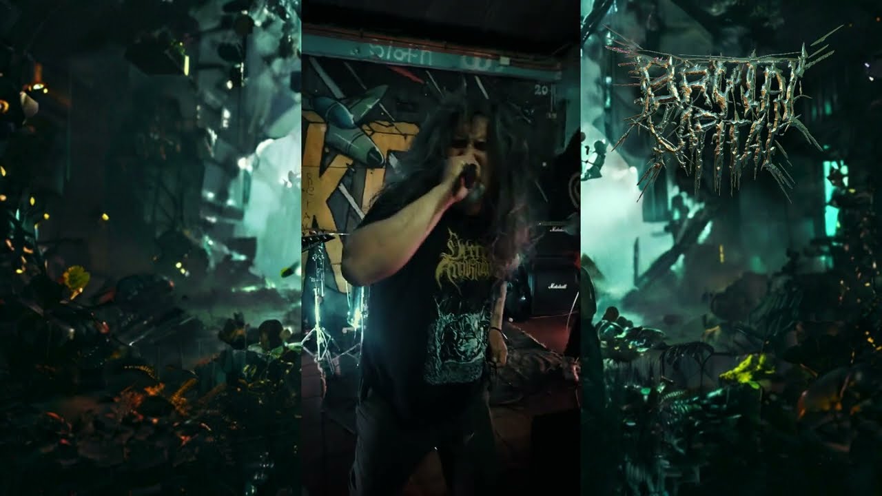 BRUTAL KAPITAL- Under the hive.