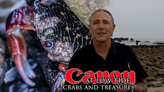 More Crabs and treasures at the Malibu Lagoon,  low tide with my trusty Canon!