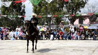 preview picture of video 'CABALLO BAILARIN EN TENENCIA MORELOS MPIO DE SENGUIO MICH.MOV'