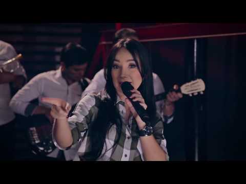 PAOLA JARA Pobre perro