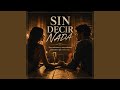 Sin Decir Nada