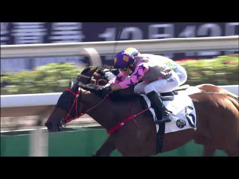 5/12/2021 (224) Amazing Teens - V Borges