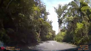 Tane Mahuta to Dargaville (via Te Matua ngahere, Trounson park, and Kai iwi lake) (Nrth Islnd-NZ)