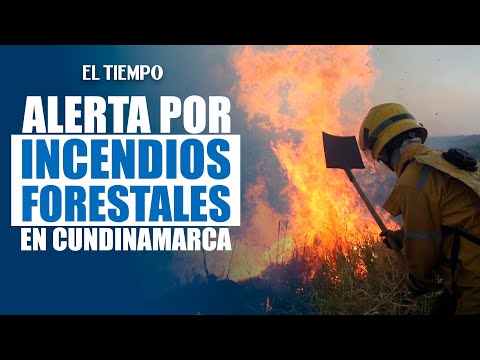 Alerta por incendios forestales en Cundinamarca | El Tiempo