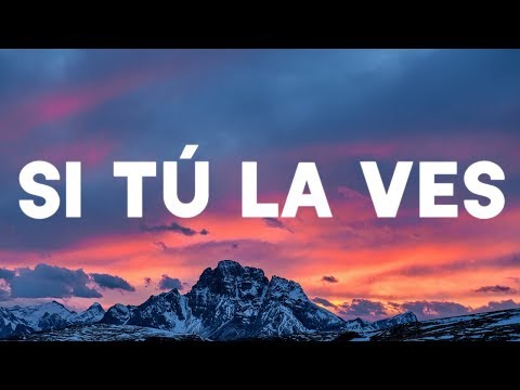 Nicky Jam - Si Tú La Ves (Lyrics / Lyric Video) ft. Wisin