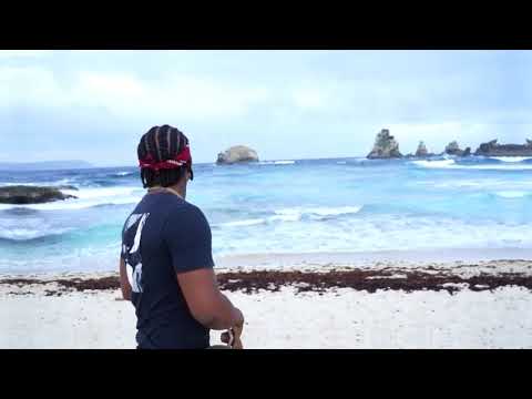 Royal Tirex - Éphémère 2 🕯🥀