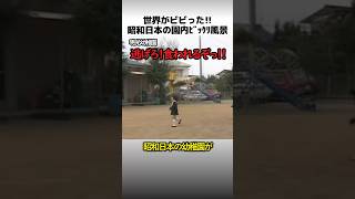 昭和日本のビックリ園内光景🦤