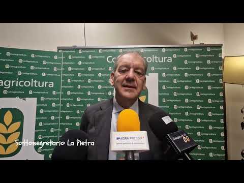 Convegno su Xylella organizzato da Confagricoltura, intervista al sottosegretario La Pietra