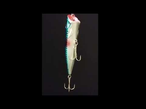 Blue Tiger Popper – 360° View of NZ Predator Reef Popper