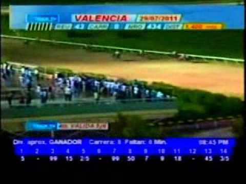 Resumen Viernes, 29 de Julio de 2011 - Valencia