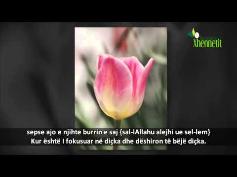 Margaritarët e Islamit