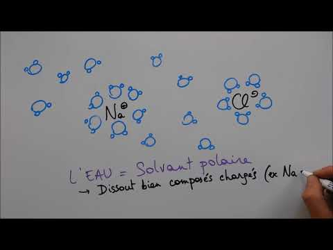 Molecules of Life 1 - Water