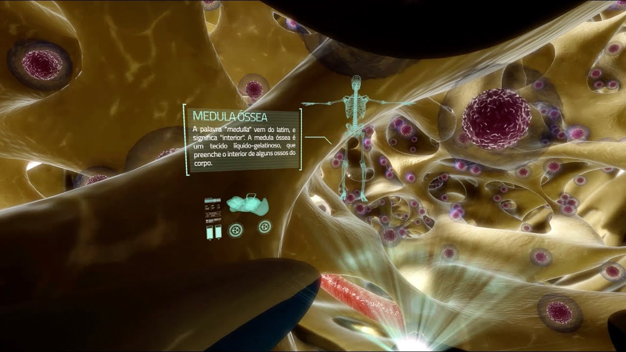 De onde surge o sangue?