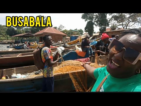 Looking for ONE LOVE BEACH  for Bobiwine in busabala. How busabala looks like in 2023