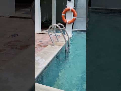 Stainless Steel Pool Ladder