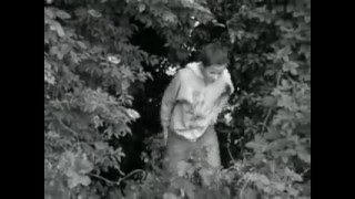 Black Slice - De Zwarte Plak 2006