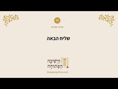 תמונה מקדימה לסרטון