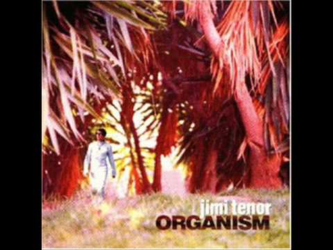 Jimi Tenor - My mind (from the album Organism) online metal music video by JIMI TENOR