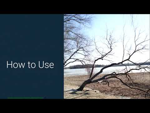 Angular Material Tree Components, AngularFire: NgRx w/o Reducers, Pagedraw.io