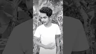 Download lagu Tulshi Pata Vaiva Jare Diya Chilam Mon. Saiful Raj. SR Dance Media. mp3