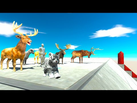 FOREST ANIMALS vs T-REX MARVEL DEATH FALL - Animal Revolt Battle Simulator