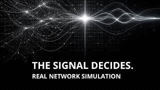 Network