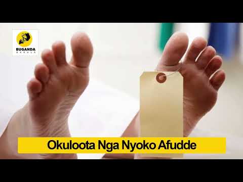 Okuloota Nga Nyoko Afudde - Ebirooto Namakulu Gaabyo - Buganda Ekkula #Shorts