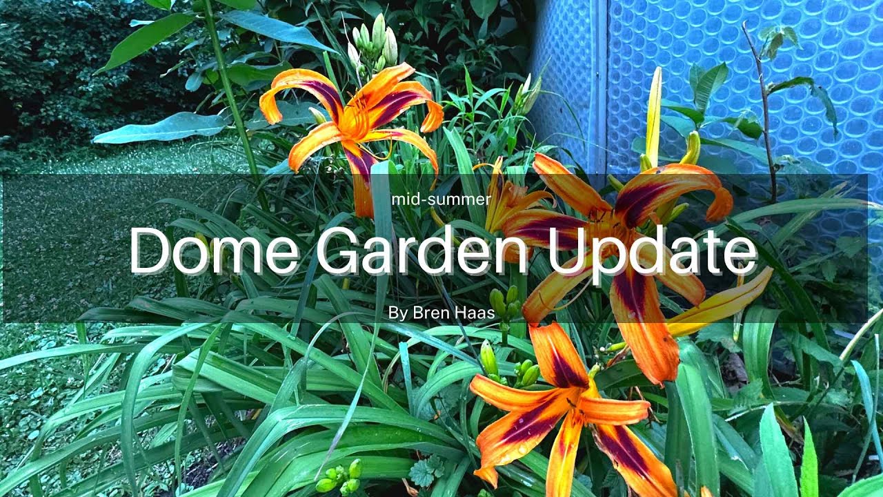 Dome Garden Update | What is Blooming in Mid-Summer