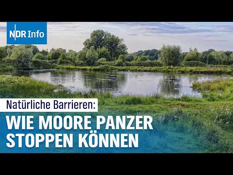 Video Thumbnail: Moore als Panzersperre: Neue Verteidigungsstrategie der NATO | NDR Info