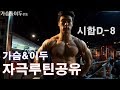 시합까지D-8 I 가슴&이두 100%자극루틴