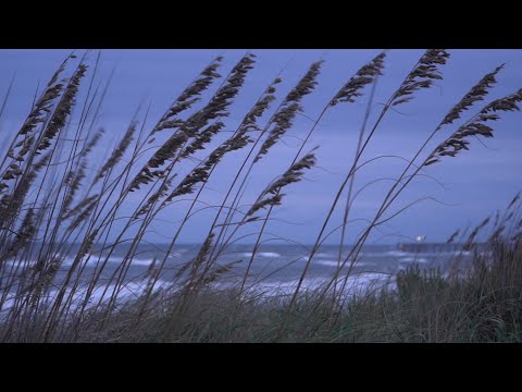 OBX Beach Report - 9/8/25 - Outer Banks This Week