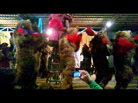 Ursii sat. Preluci / Agas / Bacau