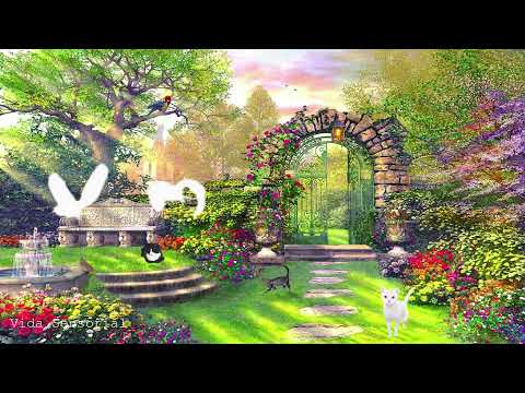 Música Milagrosa ⚜️ Eliminar Maldiciones, Brujerías, Mala Suerte y Malas Energías