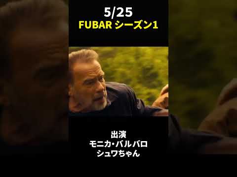 Petflix、動物が登場する Netflix