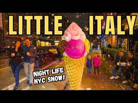 Exploring Manhattan's LITTLE ITALY NYC Snow Walk FREEZING COLD!
