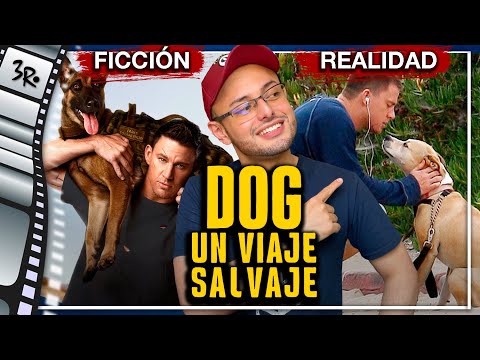 DOG 'Un Viaje Salvaje' - La Historia Real que inspiró a Channing Tatum
