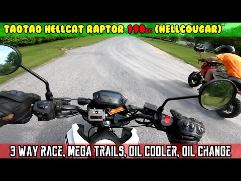 (E14) RACE! Hellcat VS Grom VS DB36. Hella Trails. Oil cooler installed. HELLCOUGAR Zongshen 190cc