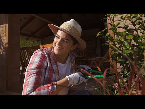 Semmelrock - Bradstone Old Town