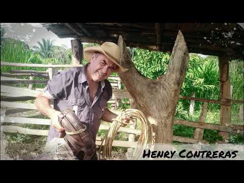 Señor Perfecto - Henry Contreras