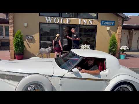 1982 Phillips Berlina (CC-2078404) for sale in Sandusky, Ohio