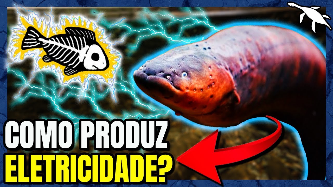 QUANDO a EVOLUÇÃO criou PEIXES que DÃO CHOQUE