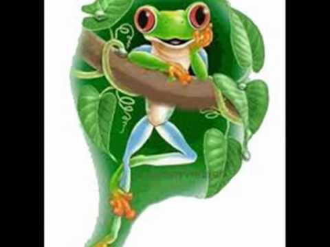 BARZA   SI   BROASTELE