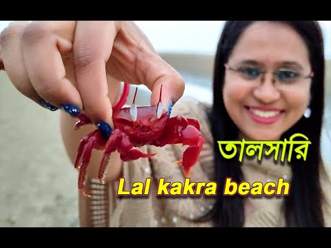 Digha Talsari | Talasari Beach | তালসারি| WB Tourism। RED CRAB BEACH। Travel With Paromita