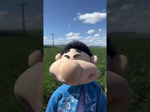 Minha cidade natal, Santa Cruz do Rio Pardo/SP!! #kimiquinho #santacruzdoriopardo #ferias